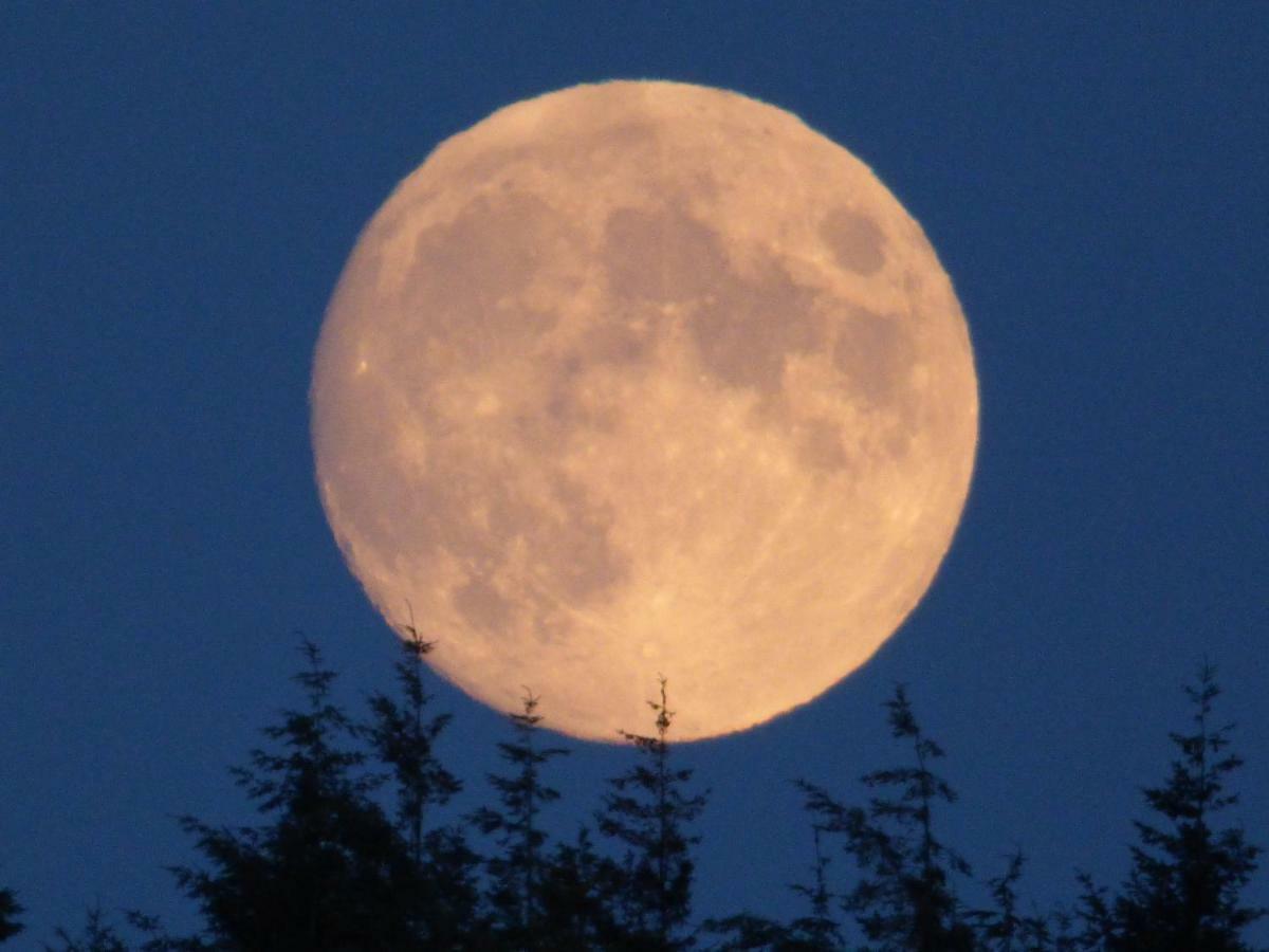 Hunters Moon B&B Tidworth 外观 照片